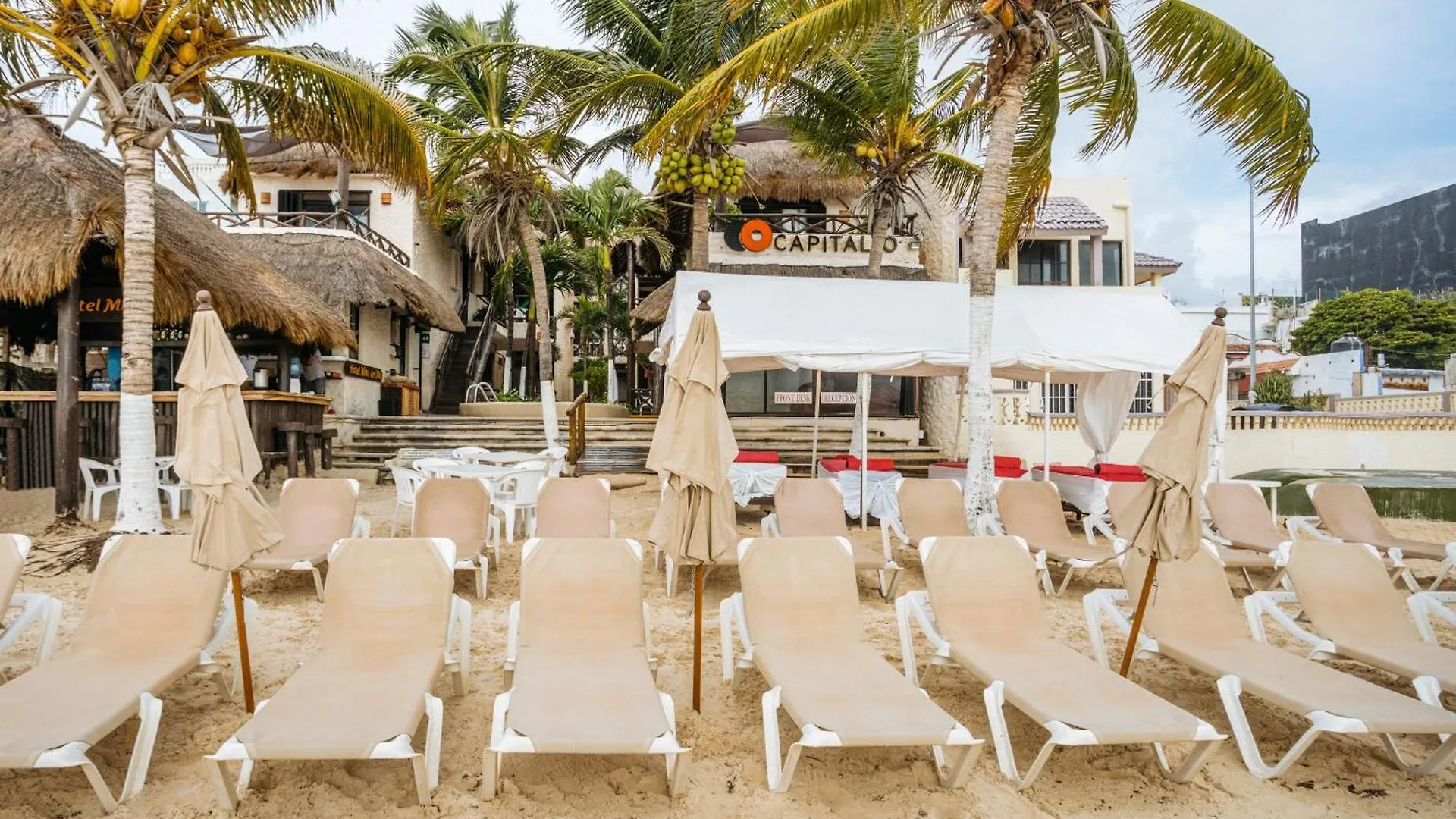 Capital O Mimi Del Mar, Playa Del Carmen Hotel