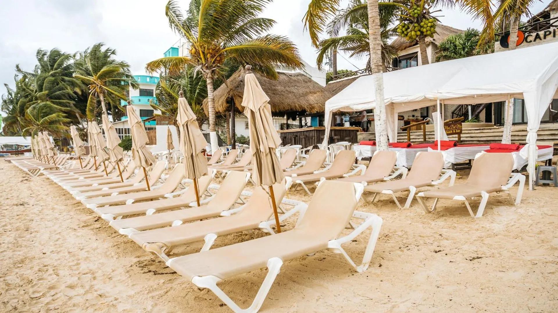 Capital O Mimi Del Mar, Playa Del Carmen酒店 酒店